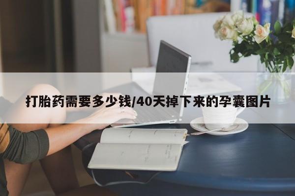流产药在线付款打胎药需要多少钱/40天掉下来的孕囊图片