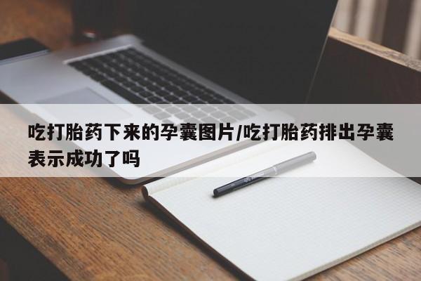 流产药在线付款吃打胎药下来的孕囊图片/吃打胎药排出孕囊表示成功了吗